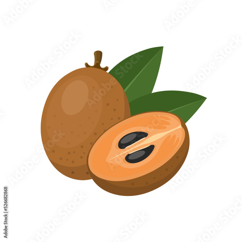 
Vector illustration, sapodilla fruit with green leaves, isolated on a white background.
