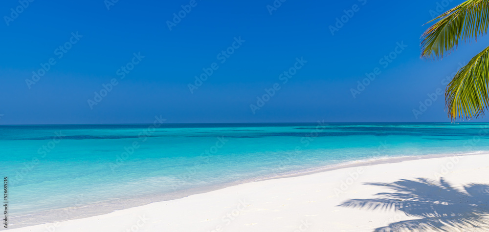 Panoramic landscape view of white beach sand sea water and blue sky clear background. Tropical paradise banner, closeup palm leaves. Summer travel background, wallpaper panorama. Sunny beach scene