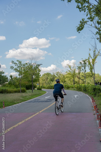 Fototapeta Naklejka Na Ścianę i Meble -  person riding a bicycle