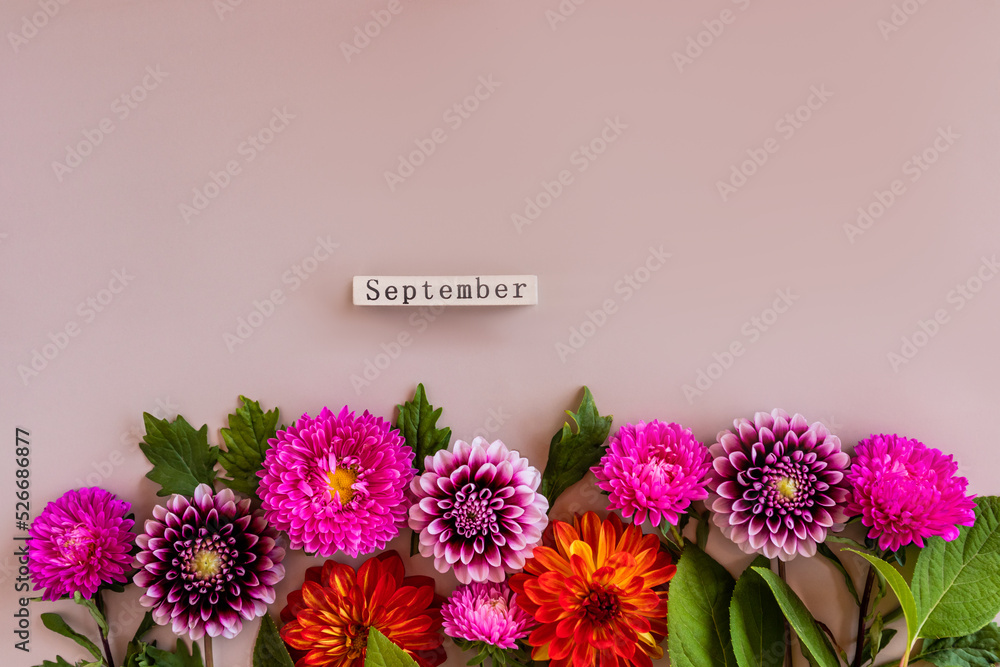 autumn bright border of cut garden flowers. beautiful dahlias and asters on a beige background with a wooden calendar. September. top view.
