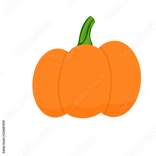 pumpkin isolated on white background