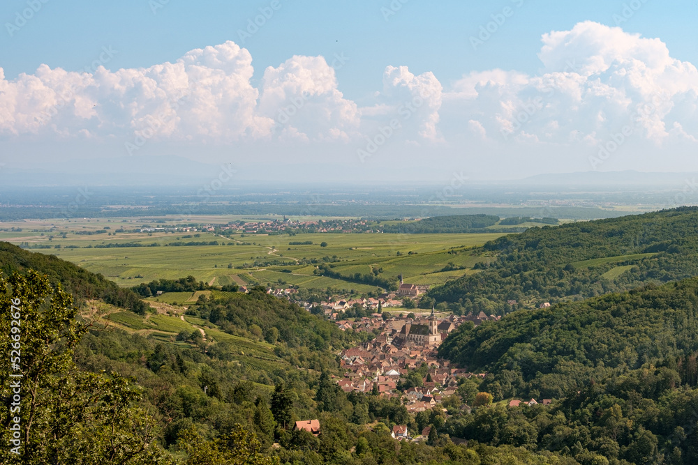 Obraz premium Village dans le vignoble alsacien Alsace (France)