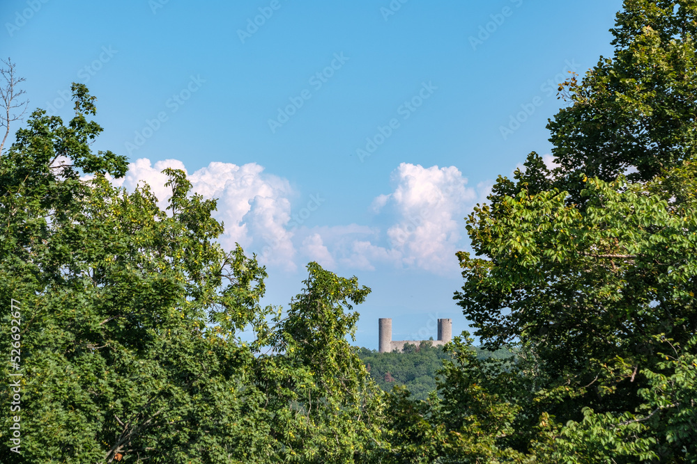 Deux tours du château d'Anlau dépassant de la végétation
