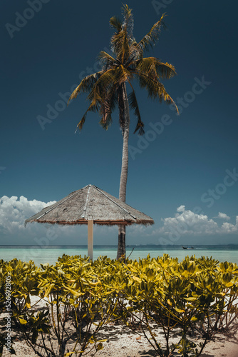 Phi Phi Island is located in the Andaman Sea. It is the most beautiful island in Thailand that everyone must come to. Accommodation in harmony with nature Suitable for relaxing, swimming and honeymoon