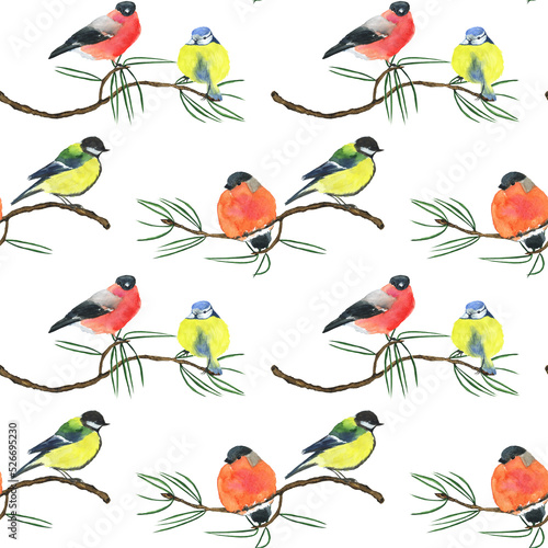 Winter bird on pine twig seamless pattern on white background. Chickadee and bullfinch. Watercolor hand drawing illustration. Perfect for textile, backdrop, animal print.