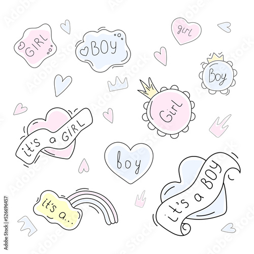 set of baby gender reveal party