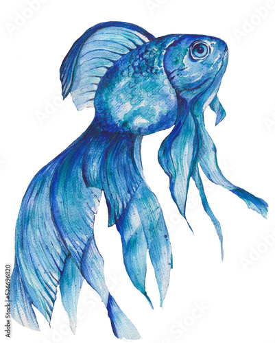 Watercolor hand drawn fish. Sea Dweller. Blue color paint photo