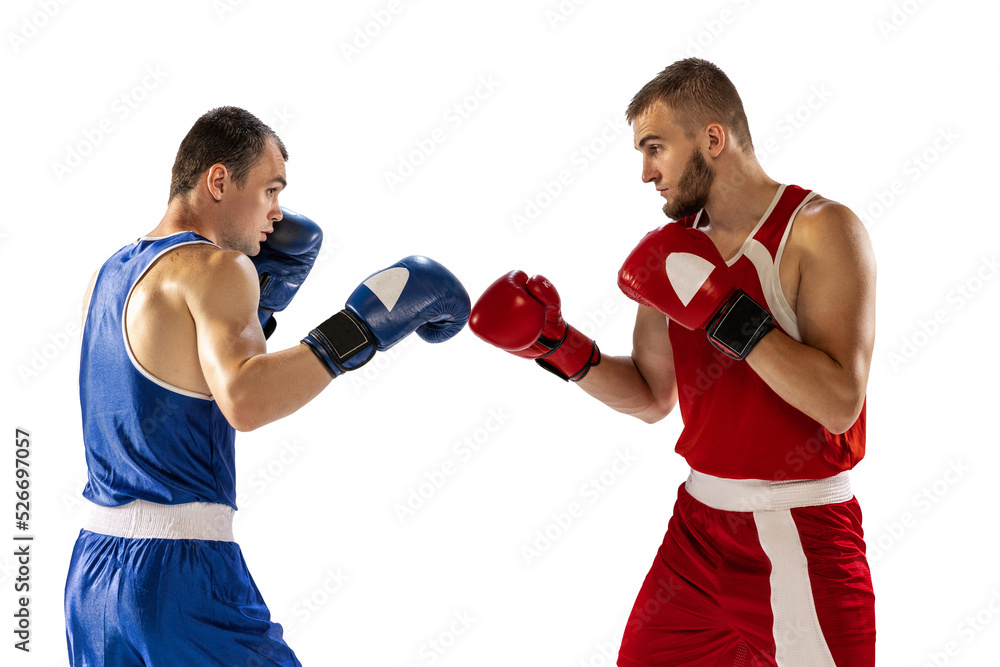 Dynamic portrait of two professional boxer in sports uniform boxing isolated on white background. Concept of sport, competition, training, energy