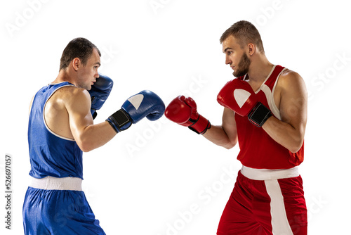 Dynamic portrait of two professional boxer in sports uniform boxing isolated on white background. Concept of sport, competition, training, energy © master1305