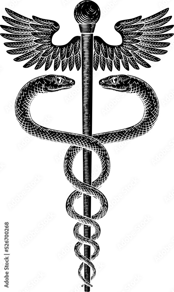 Caduceus Vintage Doctor Medical Snakes Symbol Stock Illustration ...