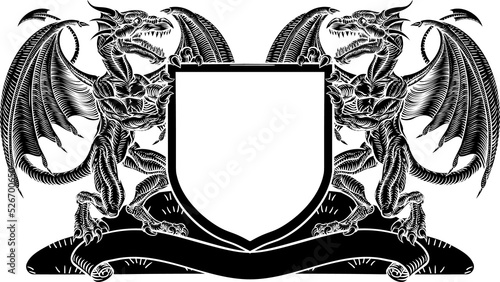 Dragon Heraldry Crest Coat ...
