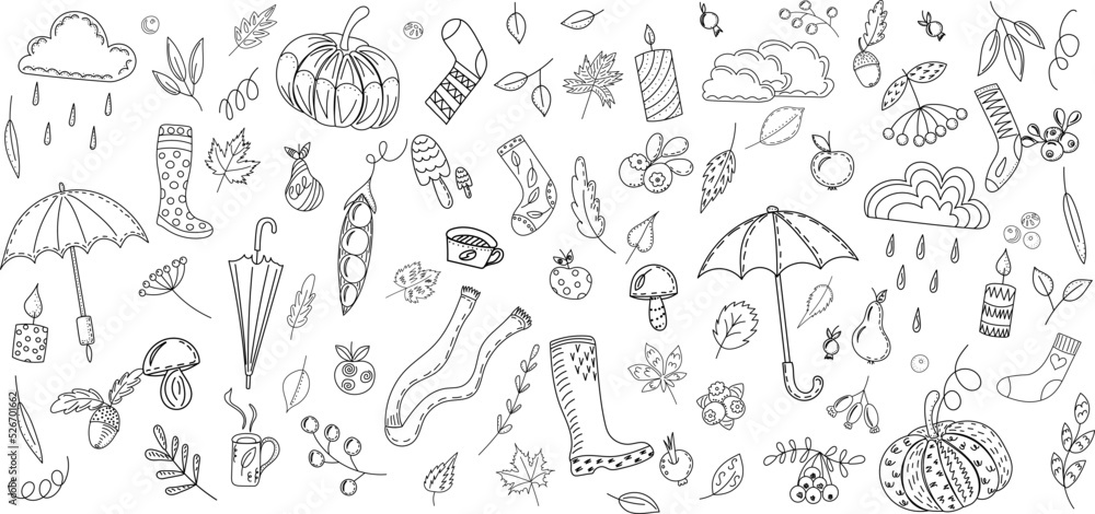 doodle autumn sketch,outline vector, isolated