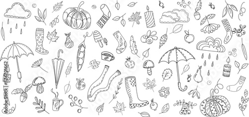Fototapeta Naklejka Na Ścianę i Meble -  doodle autumn sketch,outline vector, isolated
