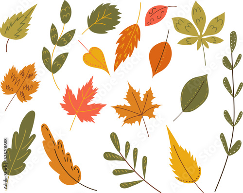 set of leaves  in doodle style  vector