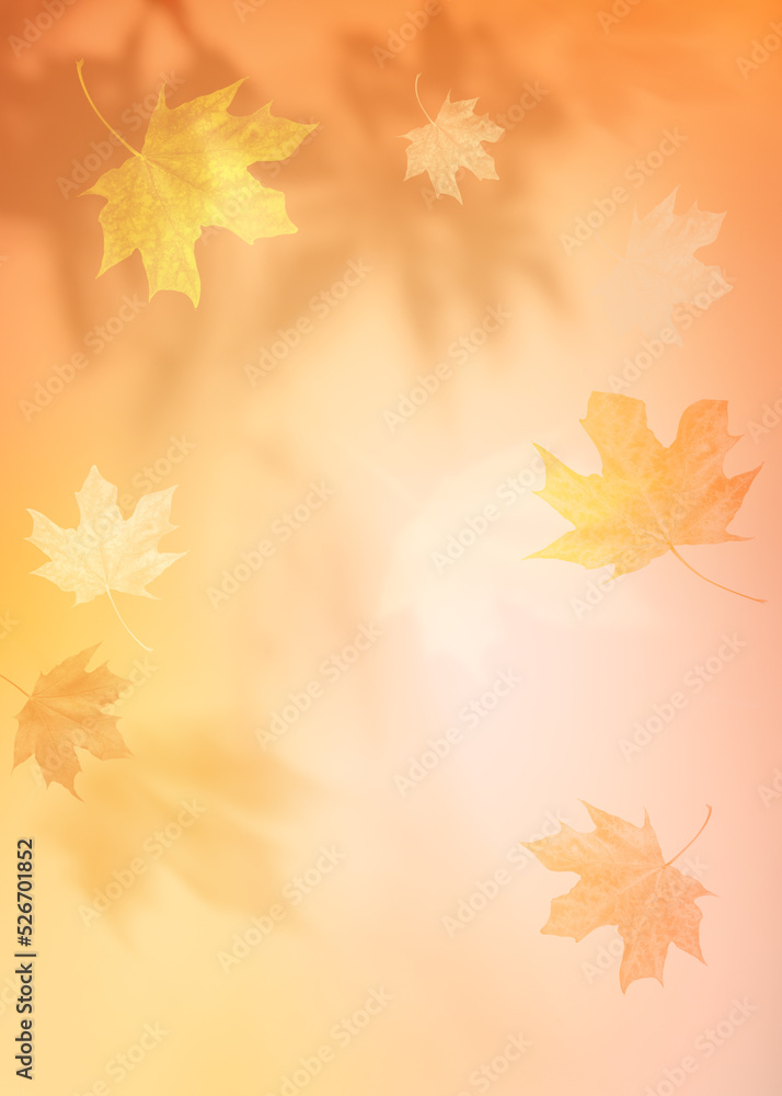 Autumn blurred background with shadow of the maple tree leaves on a wall. Abstract Autumnal scene. Autumn blurred background with shadow of the maple tree leaves on a wall. Abstract Autumnal scene.
