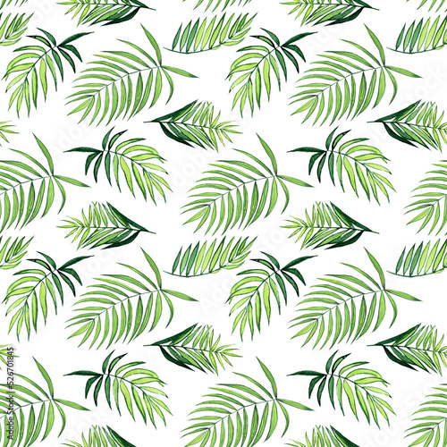 Watercolor palm leaf seamless pattern on white background. Hand drawing kentia or parlor plant illustration. Perfect for home design  print  card.