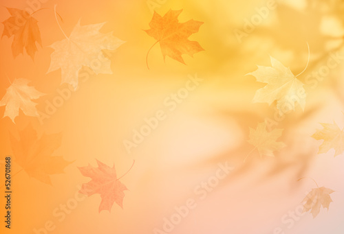 Autumn blurred background with shadow of the maple tree leaves on a wall. Abstract Autumnal scene.