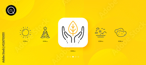 Potato, Sun energy and Fair trade minimal line icons. Yellow abstract background. Christmas tree, Sea mountains icons. For web, application, printing. Fresh vegetable, Solar power, Safe nature. Vector