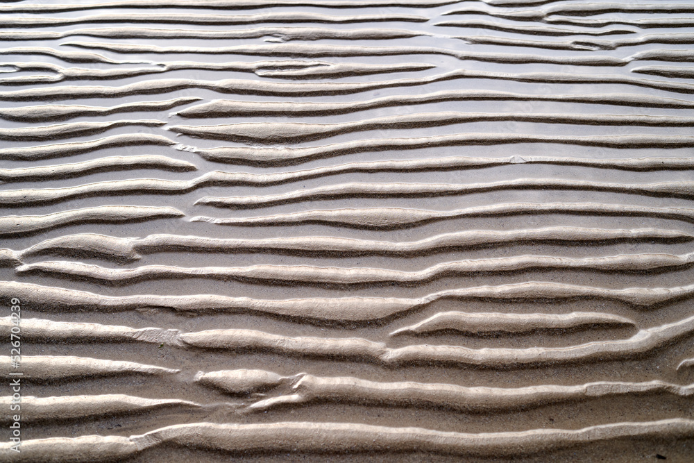 Rippling surface of dry sand Rippling surface of dry sand