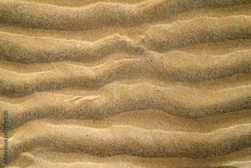 Rippling surface of dry sand photo