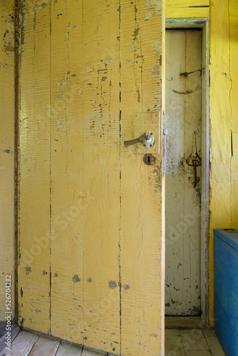 Beautiful old wooden room door