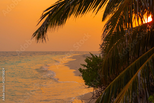 picturesque sunrise in the Maldives island  the sun rising from the Indian ocean and reflected in the water  travel concept  palm trees hanging over the water