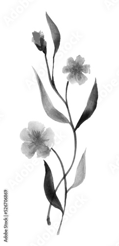 Fototapeta Naklejka Na Ścianę i Meble -  Ink illustration of flowers. Sumi-e, u-sin painting.