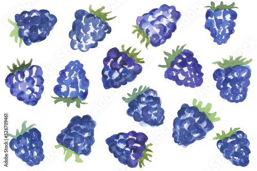 Set of watercolor blackberries isolated on white background.
