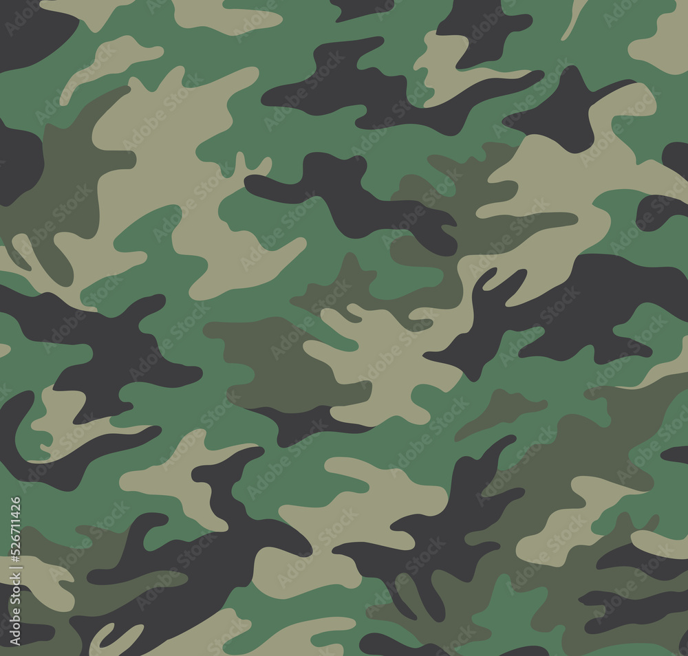 Fototapeta premium Camouflage pattern