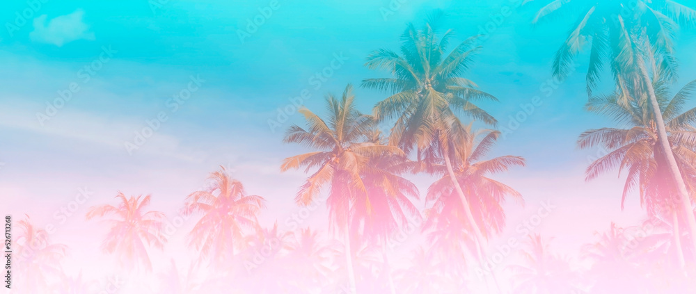 The banner of Summer colorful theme with palm trees background as texture frame image background