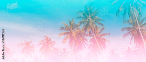 The banner of Summer colorful theme with palm trees background as texture frame image background © SASITHORN