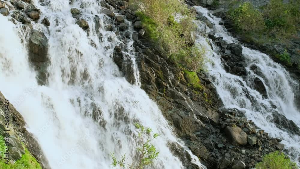 Waterfall on a mountain river from a height. In the foreground is a lone young tree. Slow motion. Waterfall on a mountain river from a height. In the foreground is a lone young tree. Slow motion.