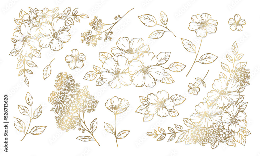 花の装飾イラスト, フレームと飾り, 植物の手描き挿絵, ゴールドの線画.