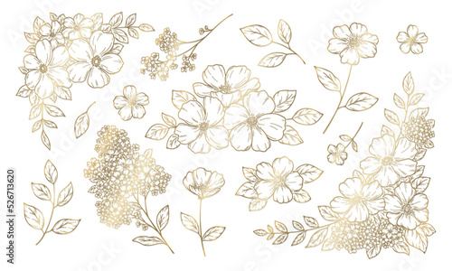 Obraz na płótnie 花の装飾イラスト, フレームと飾り, 植物の手描き挿絵, ゴールドの線画. w salonie