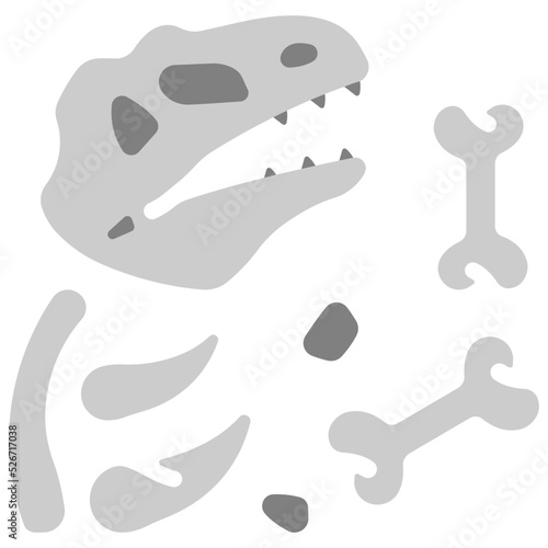Dinosaur bone fossil