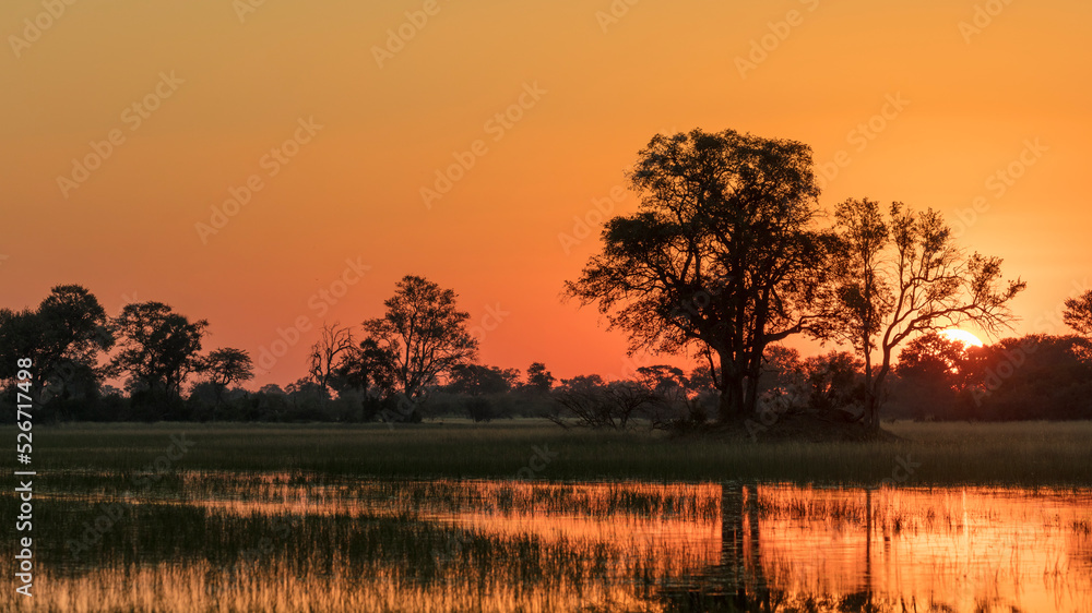 Naklejka premium Sunset. Okavango Delta. Botswana