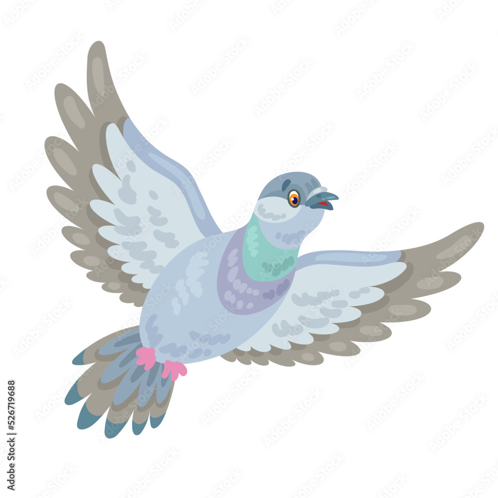 Obraz premium Gray dove is flying. In cartoon style. Isolated on white background. Vector flat illustration.