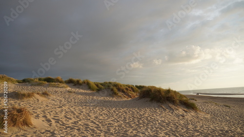 Sanddünen mit Dünengras mit besonderem Abendlicht und dunklen Wolken photo