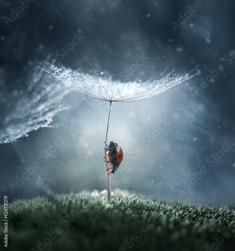 A magical scene, a fairy tale, a ladybug explores the world around among the mosses, crawls along a large parachute of a dandelion glowing on a blue background. Subtle artistic image