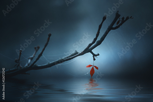 Canvas Print A dry lone red leaf hung on a branch above the water on a blue background