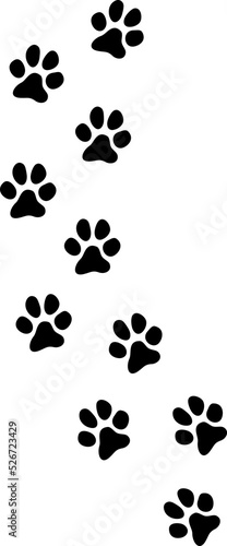 Dog paw prints track png illustration
