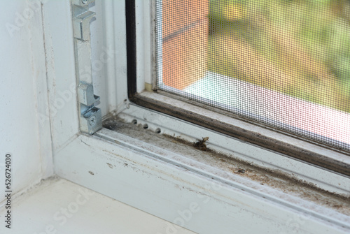A dirty uPVC window frame that needs to get cleaned. A view from inside the house of a dusty window.