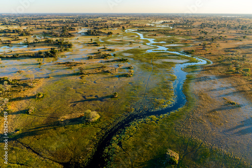 Aerial view of Okavango Delta. Botswana photo