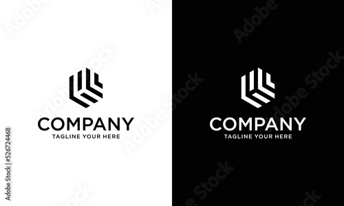 Modern HL logo design. hexagon geometric vector logotype on a black and white background.