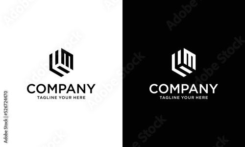 Modern HM logo design. hexagon geometric vector logotype on a black and white background.