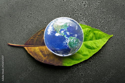Planet Earth on half Green half brown Leaf in Dark Gray with a lot of Water Drops, Earth at the Crossroads for Water and Green Nature Concept, Elements of this image furnished by NASA