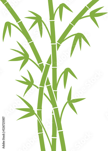 Fototapeta Naklejka Na Ścianę i Meble -  Green bamboo stems png illustration