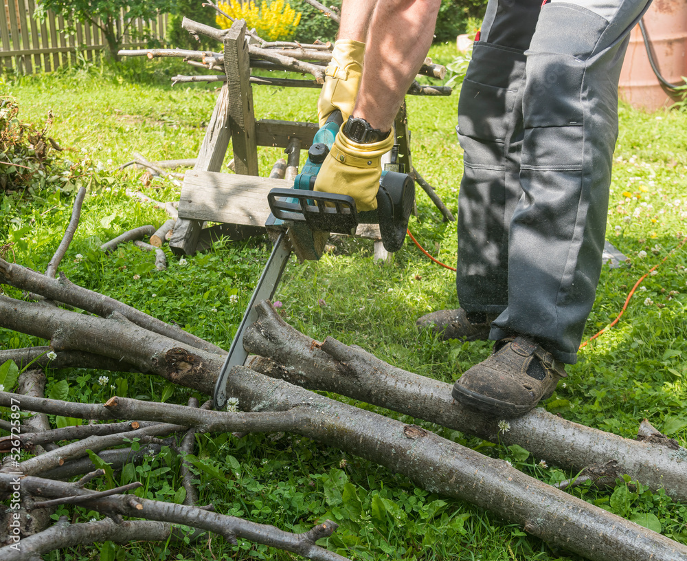 Obraz premium a man saws an old tree lying on the ground with an electric chain saw,