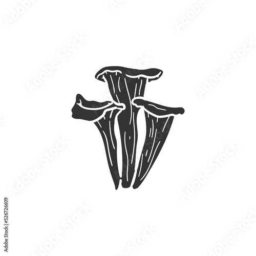 Black Trumpet Icon Silhouette Illustration. Mushroom Vector Graphic Pictogram Symbol Clip Art. Doodle Sketch Black Sign. photo
