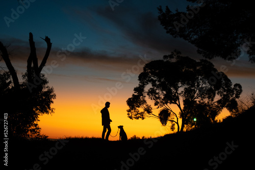 Man and dog walking silhouette bright sunset sunrise landscape background